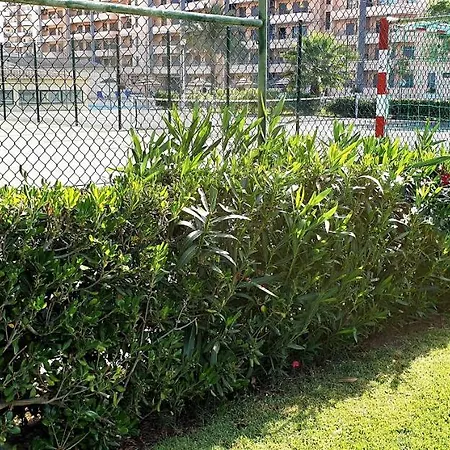 Sol Da Rocha Penthouse By Sunny Deluxe Apartamento