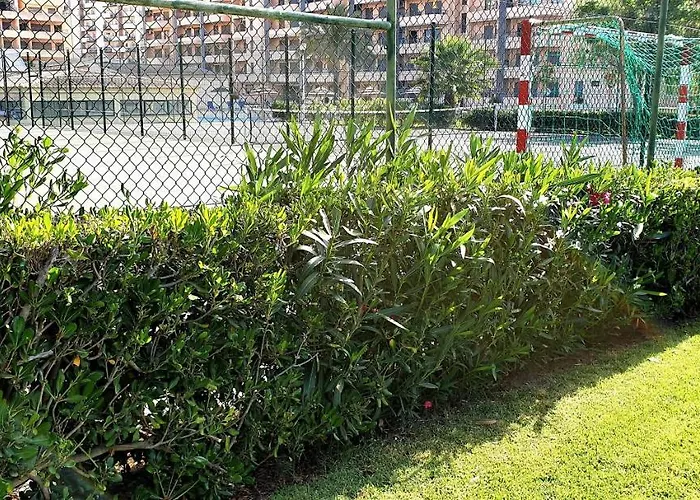 Sol Da Rocha Penthouse By Sunny Deluxe 아파트